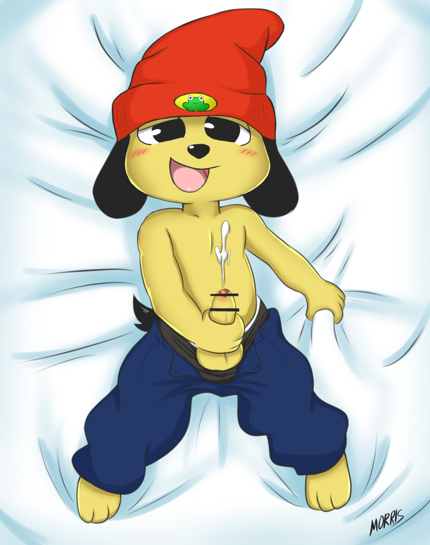 rapper parappa the Bort land of the lustrous