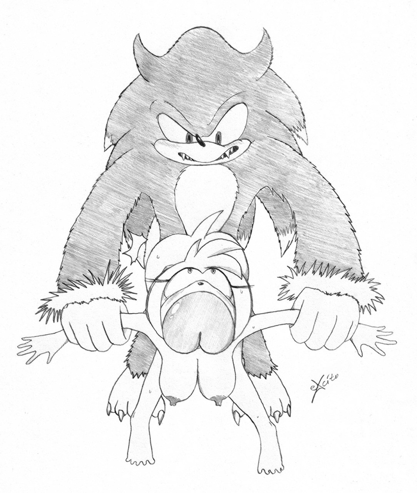 werehog the tails sonic and Amy the squirrel and thomas
